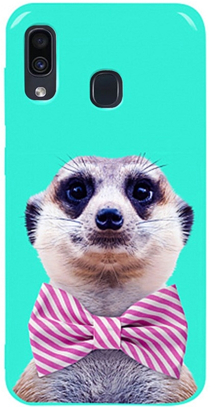 

Панель TOTO Pure TPU 2mm Print Case для Samsung Galaxy A20/A30 Horek Mint