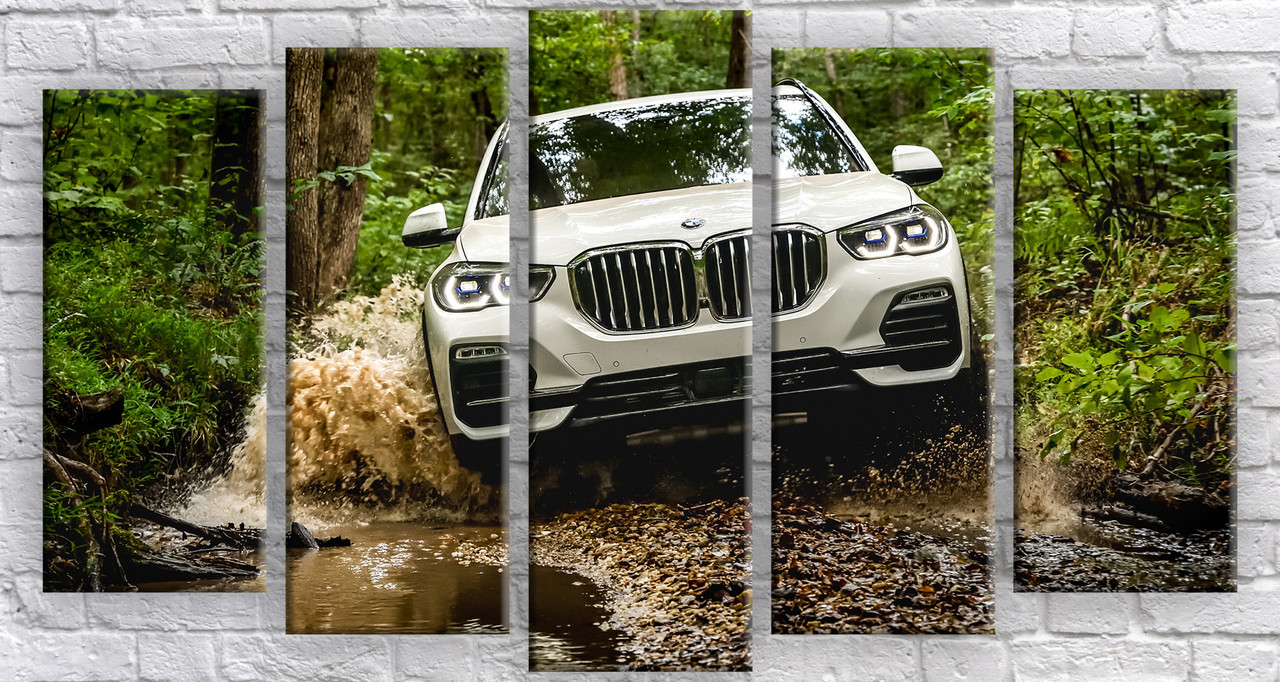 

Картина модульная HolstArt BMW 71*128см 5 модулей арт.HAB-196