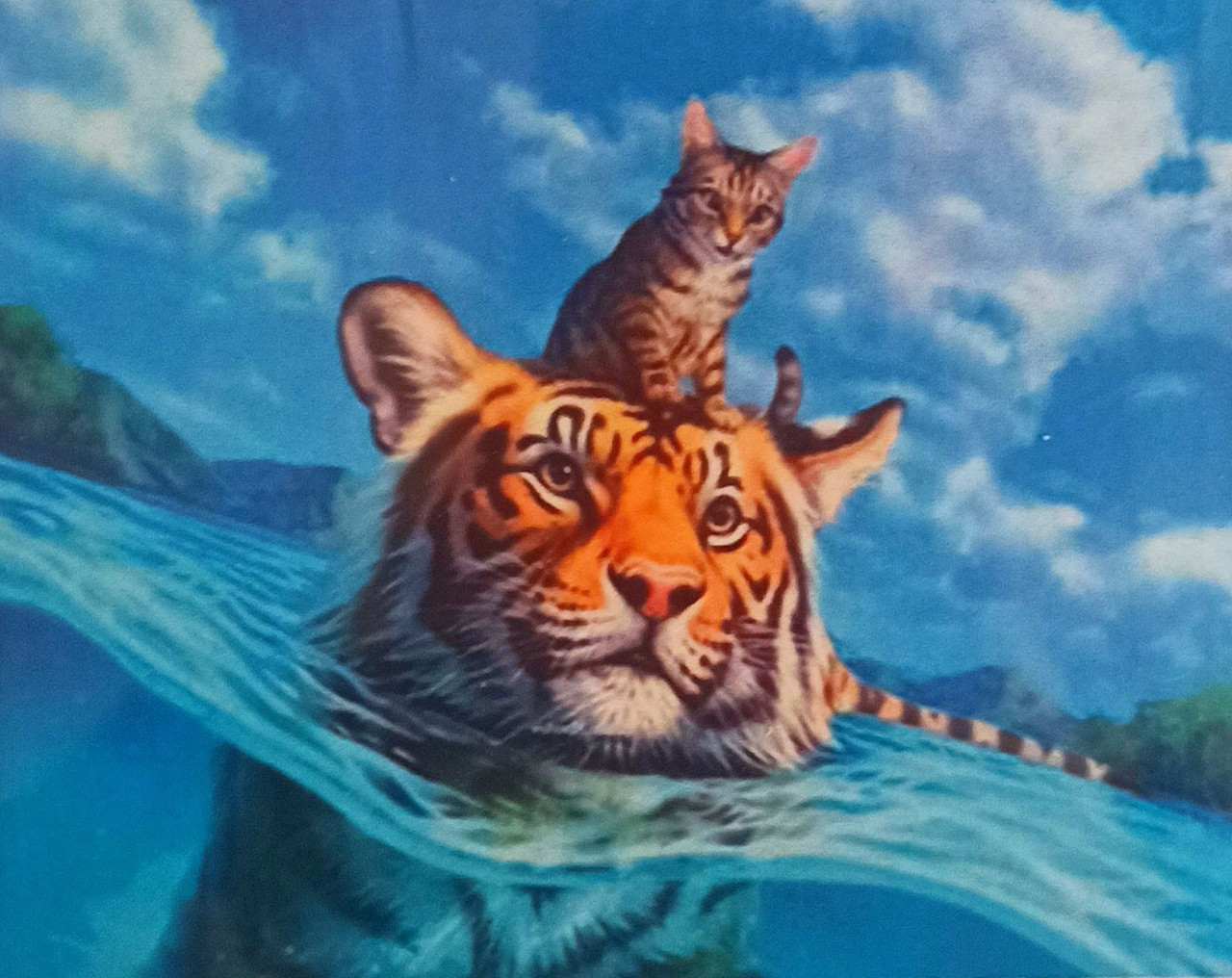 Тигр и кот арты