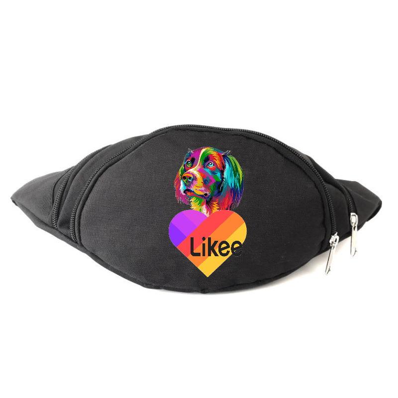 

Сумка Бананка на пояс Лайк Likee (OB-L-05) черная