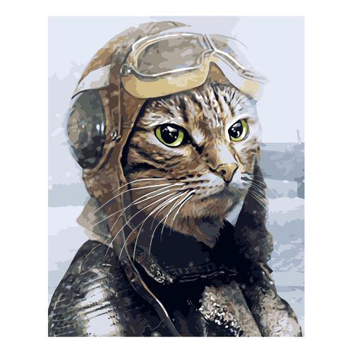 

Картина по номерам "Кот лётчик" ★★★ VA-2575