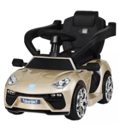 

Электро-/Веломобиль Машина Bambi M 3591LS-13 Золотой (SL00596)