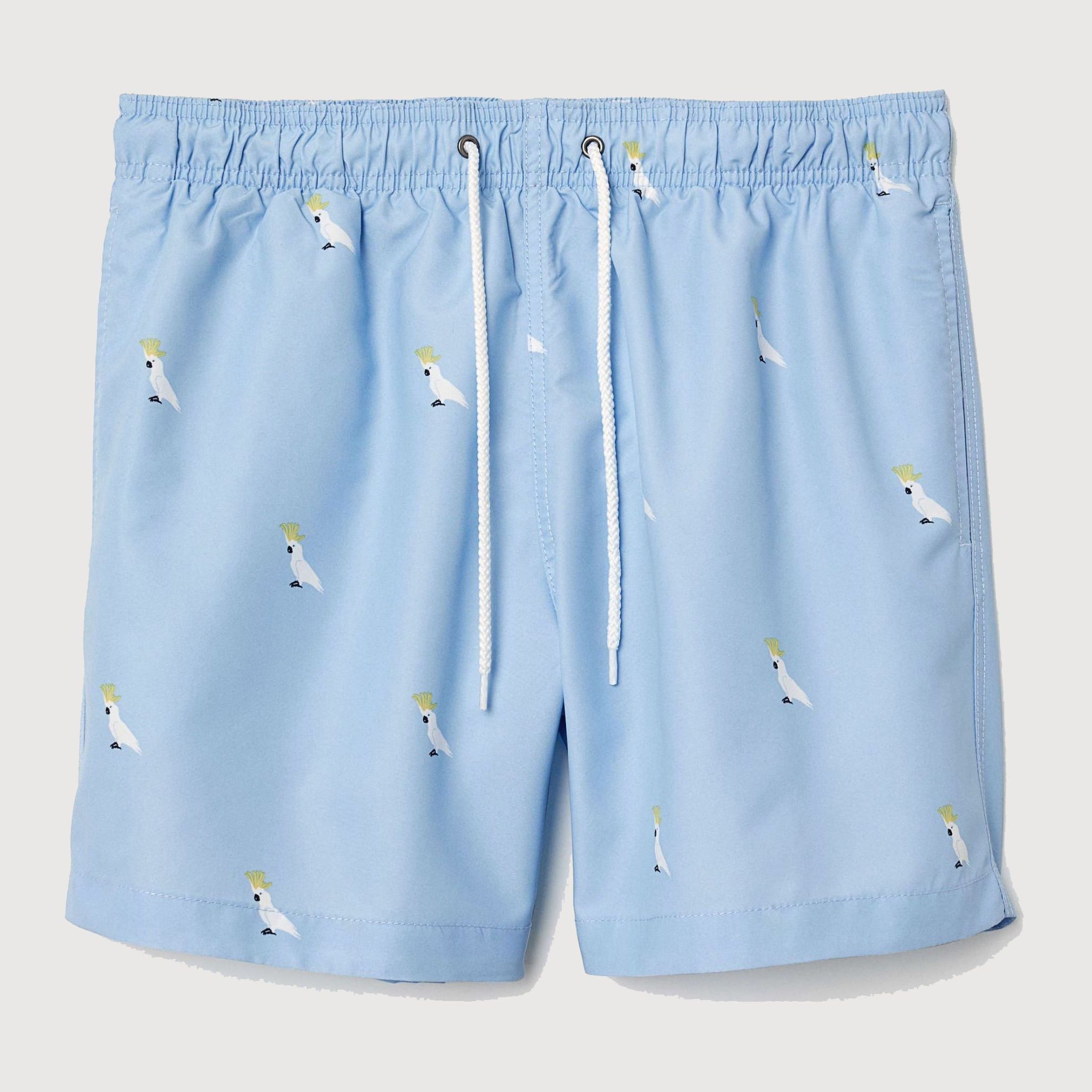 

Шорты H&M 5688007-AASK L Голубые в узоры