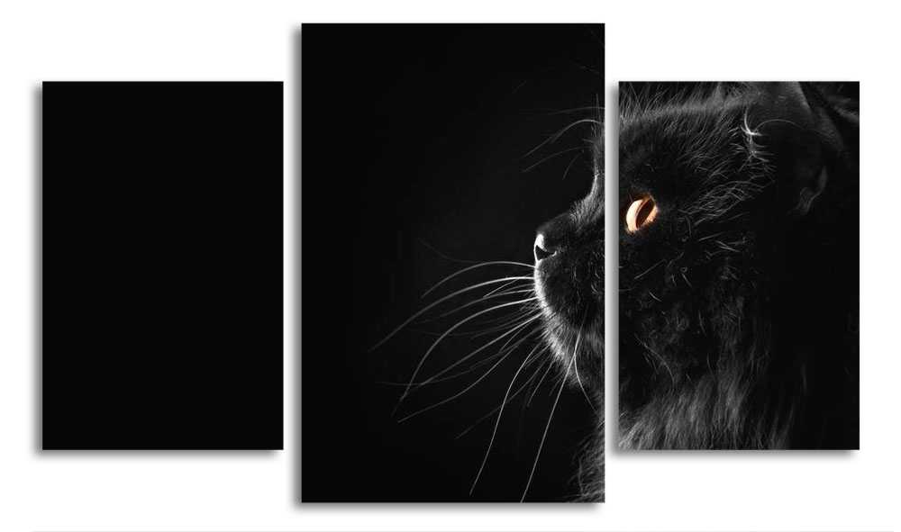 

Модульная картина LaPrint Котик 200x117 см