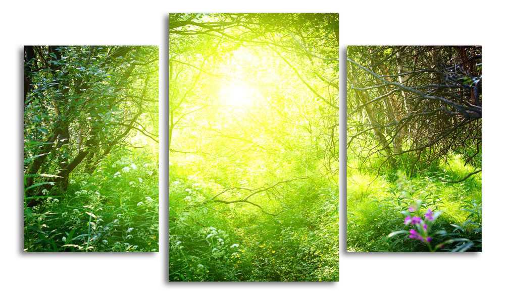 

Модульная картина LaPrint Осень в лесу 200x117 см