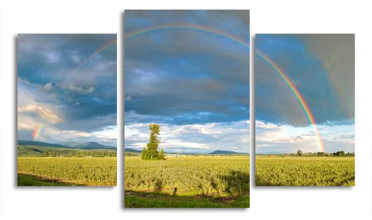

Модульная картина LaPrint Дерево и радуга 200x117 см
