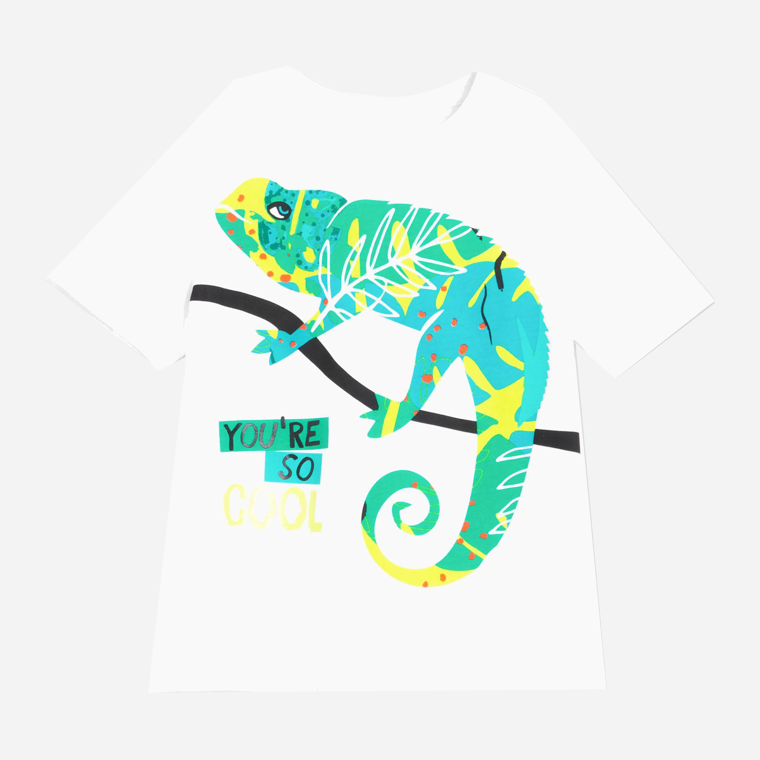 

Футболка Coccodrillo Everyday Wild Thing WC1143203EWT-001 110 см