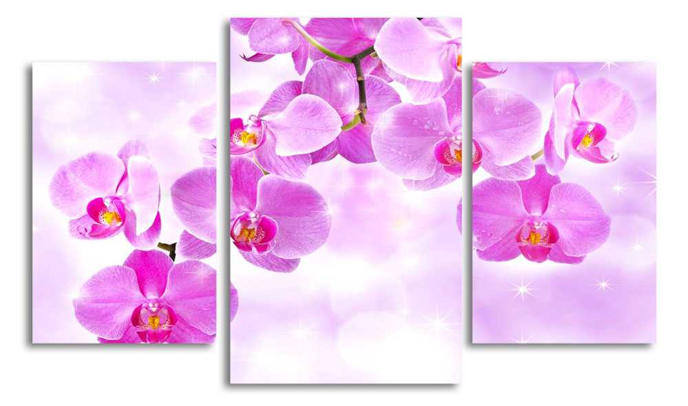 

Модульная картина LaPrint Розовые орхидеи 200x117 см
