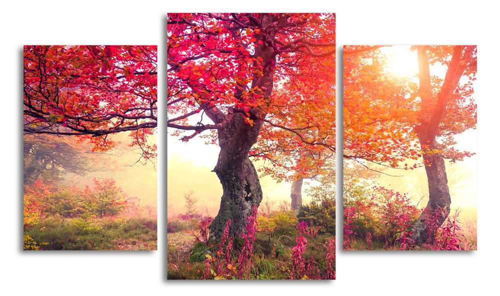 

Модульная картина LaPrint Осень в лесу 200x117 см