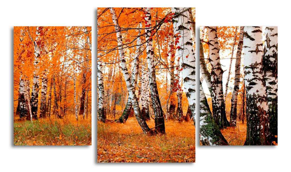 

Модульная картина LaPrint Березовая роща 200x117 см