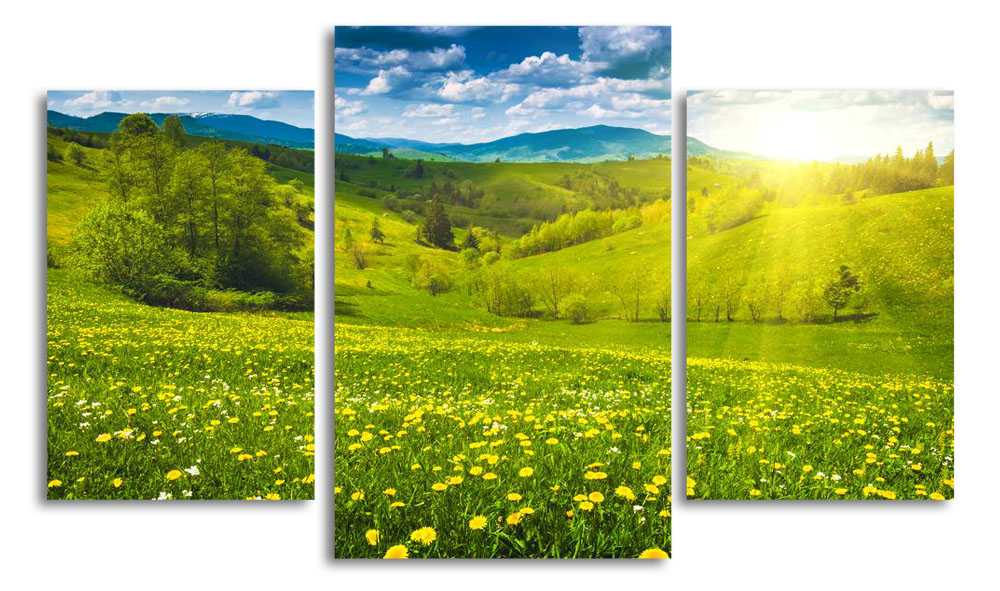

Модульная картина LaPrint Цветочная долина 200x117 см