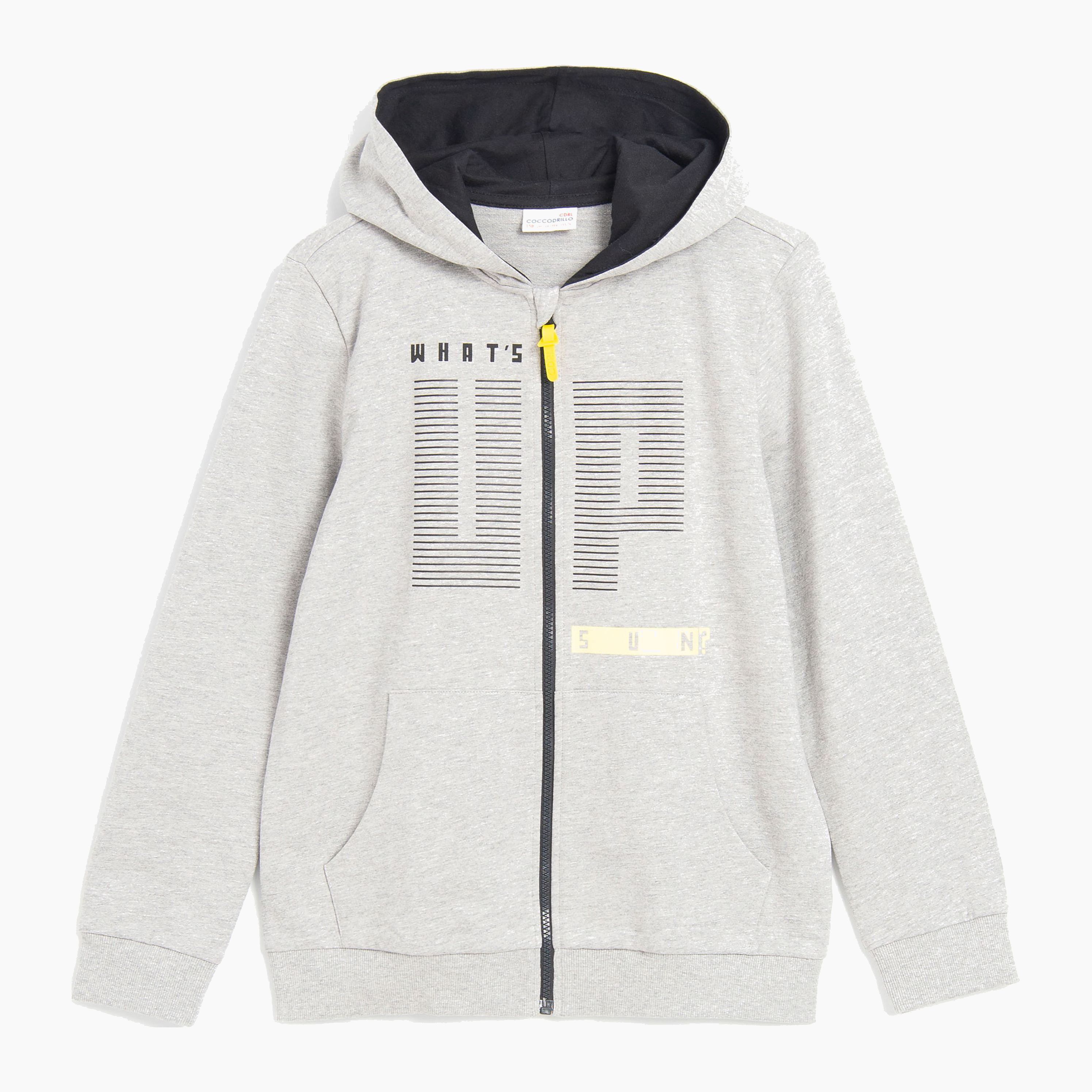 

Толстовка Coccodrillo Surf Tour WC1132401SUR-019 128 см