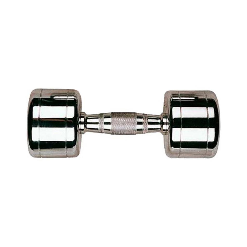 

Гантель Stein Хромированная 8 кг (DB3002-8)