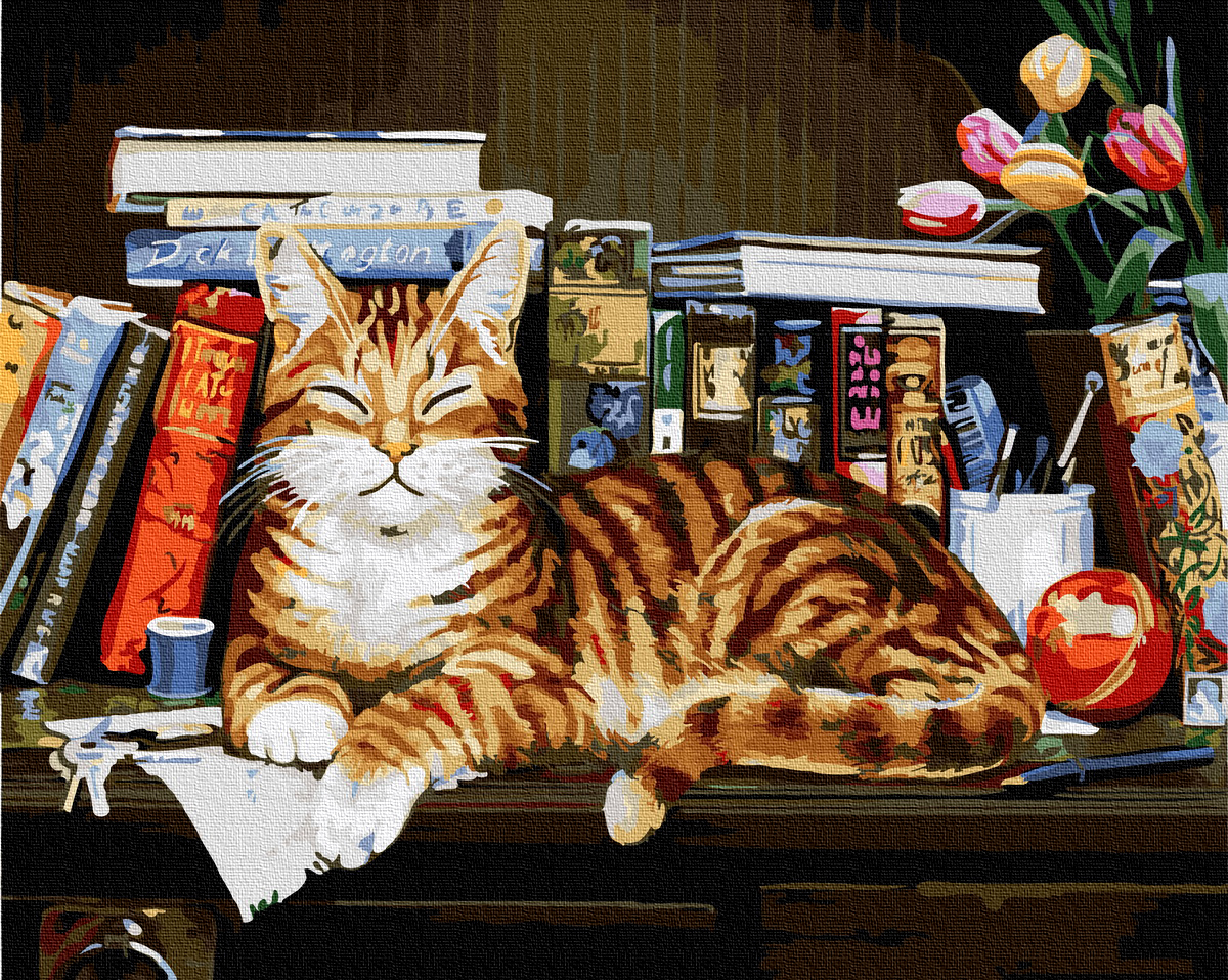 

Картина по номерам TakProsto Кот на книжной полке 40x50см