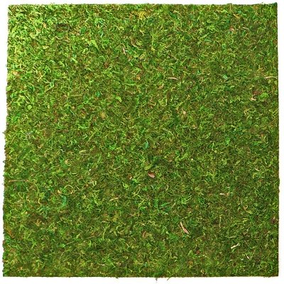 

Фон моховый REPTI-ZOO Natural Moss Back _ Bottom 45x45см 2шт. (RZ-NCM4545)