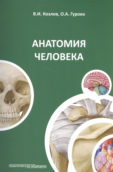 

Анатомия человека (1002881)