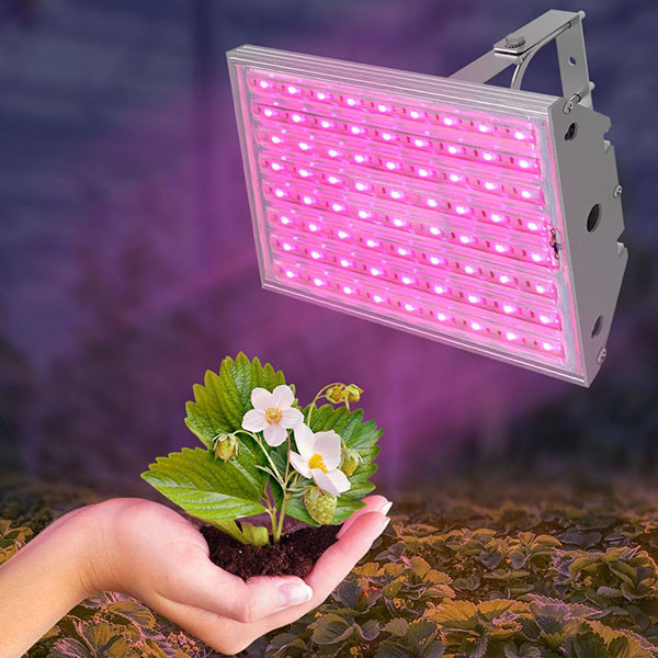 

Фитосветильник светодиодный FLAMINGO 30W IP65