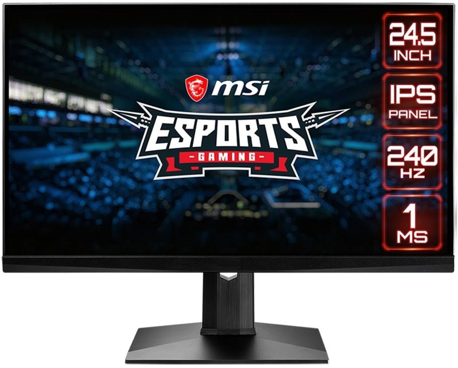 

MSI MAG251RX