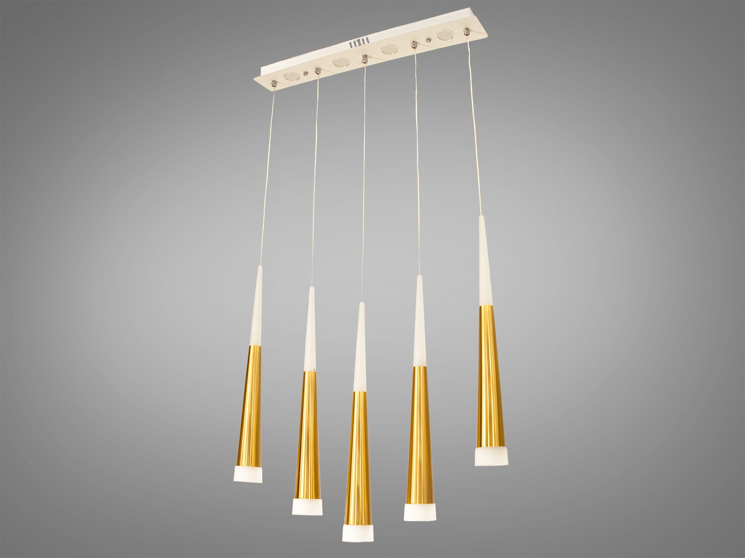 

Потолочный LED светильник с пультом ECOLED 1003/5G