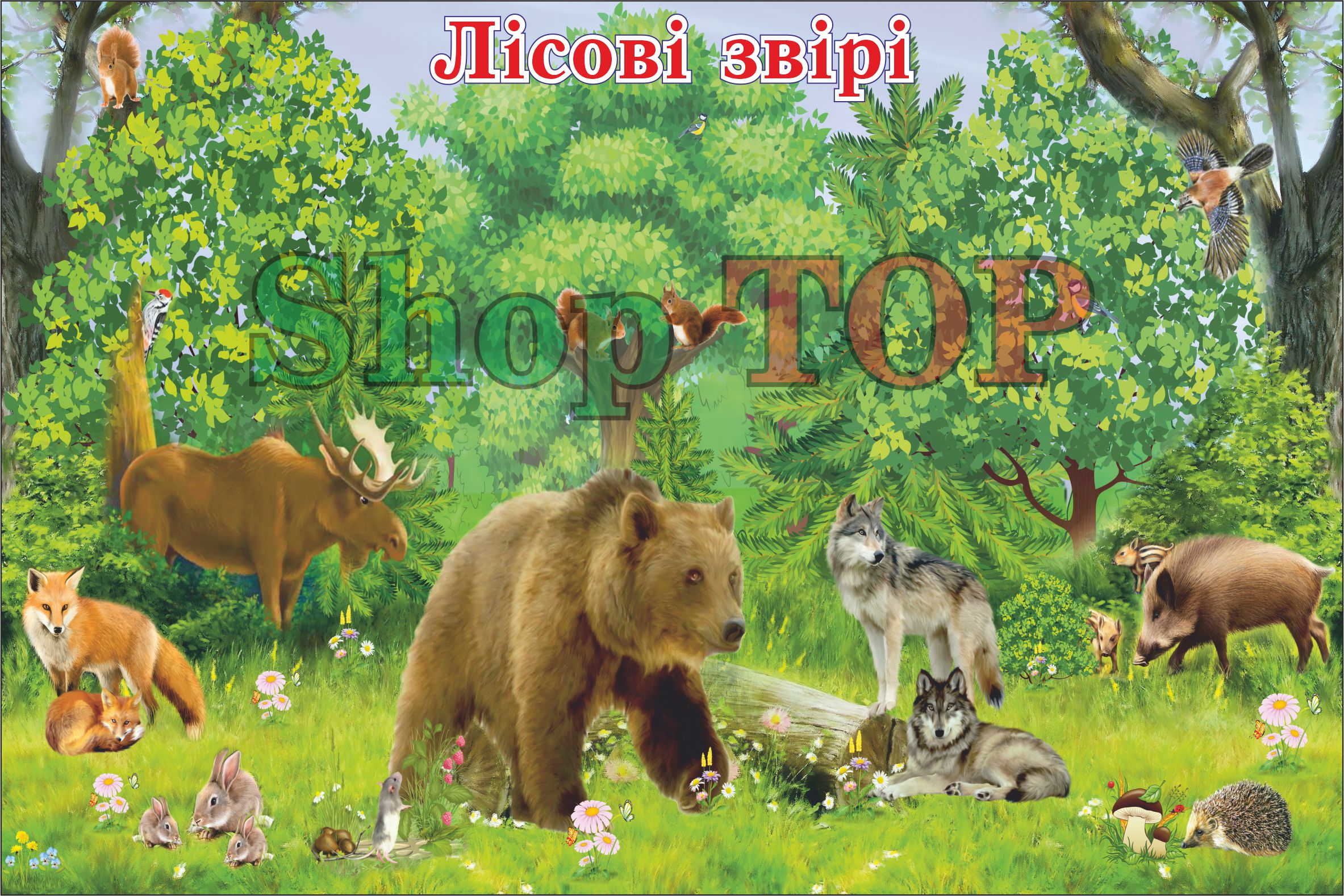 

Стенд пластиковый для Д. С. "Лісові звірі" 600х400мм. Код ДС-1134