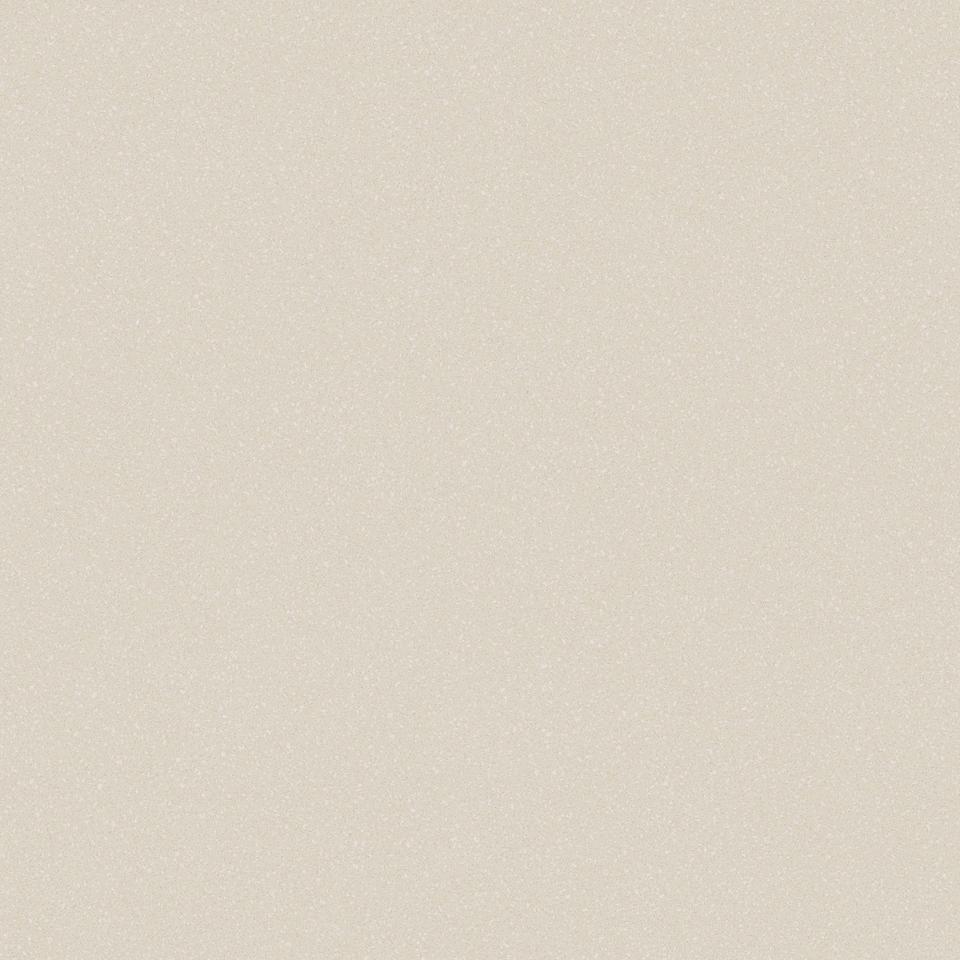 

Линолеум коммерческий рулон Tarkett ACCZENT PRO - Aspect 4 (3 x 20 м)