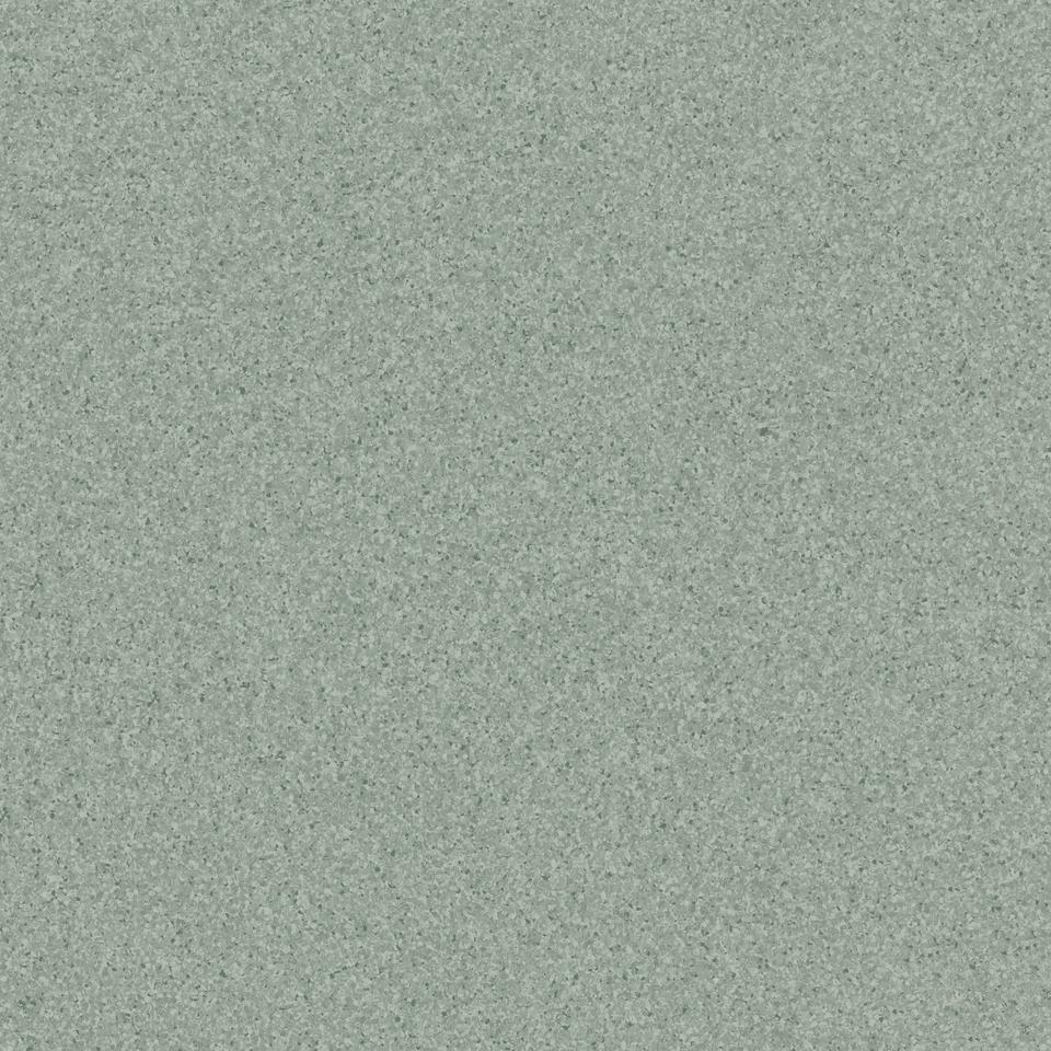 

Линолеум коммерческий рулон Tarkett PRIMO PLUS Primo 311 (2 x 23 м)