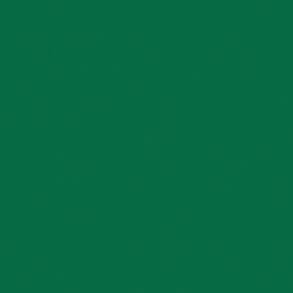 

Линолеум коммерческий рулон Tarkett OMNISPORTS V65 FIELD GREEN (2 x 20,5 м)