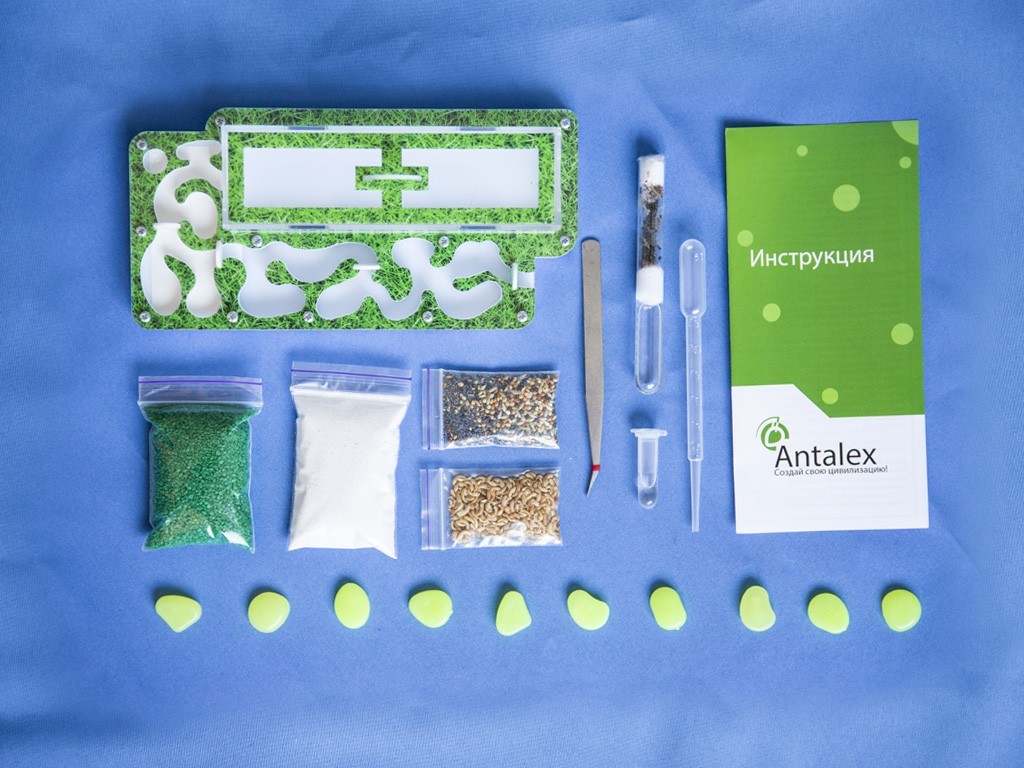 

Муравьиная ферма Antalex Цивилизация Дача