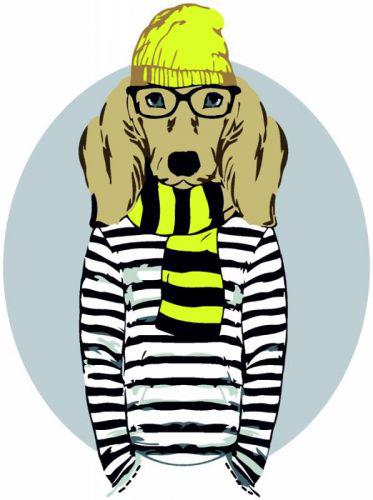

Картина по номерам Stylish Dog ★☆☆ Maide in UA N00013265 (TC132118)