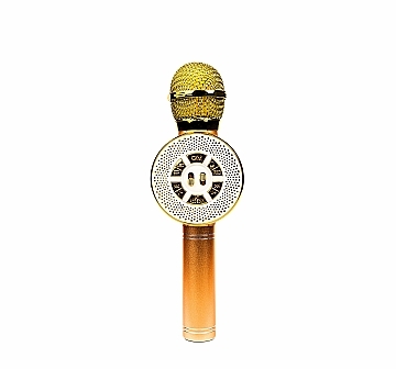 

Беспроводной караоке-микрофон Optima Wster MK-4 Gold - XoKo (20-1002158)