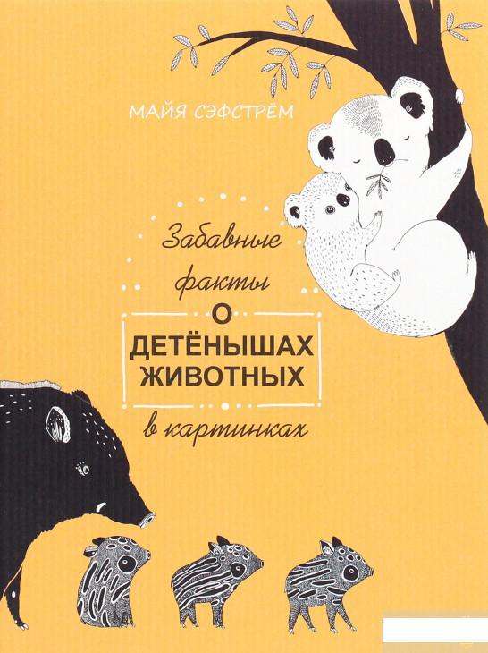 

Забавные факты о детёнышах животных в картинках (1291208)