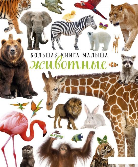 

Большая книга малыша. Животные (833969)