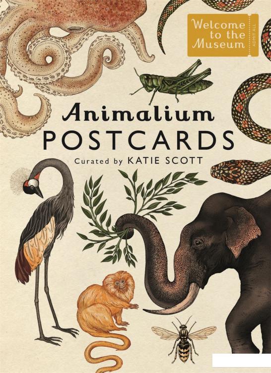 

Animalium Postcards (1115296)