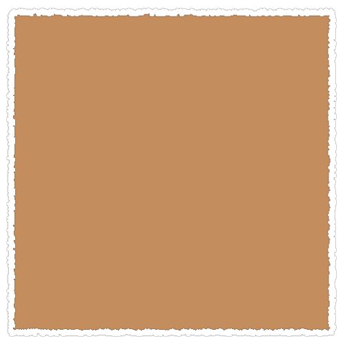 

Пастель сухая мягкая Schmincke Flesh ochre 016 D