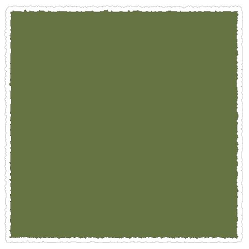 

Пастель сухая мягкая Schmincke Olive green 2 086 B
