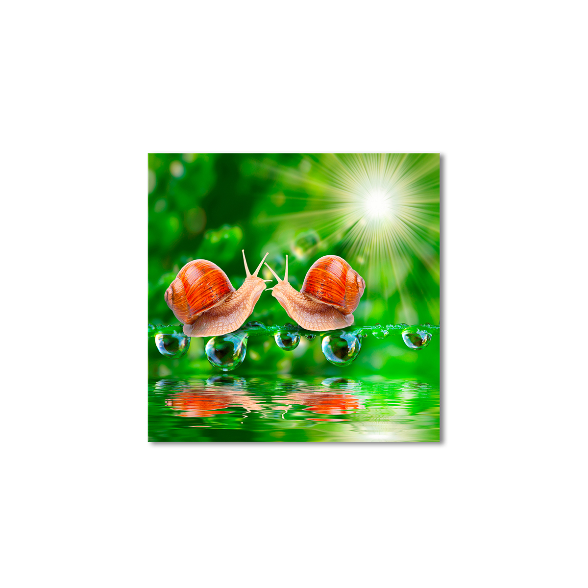 

Модульная картина Artel «Две улитки» 100x100 см