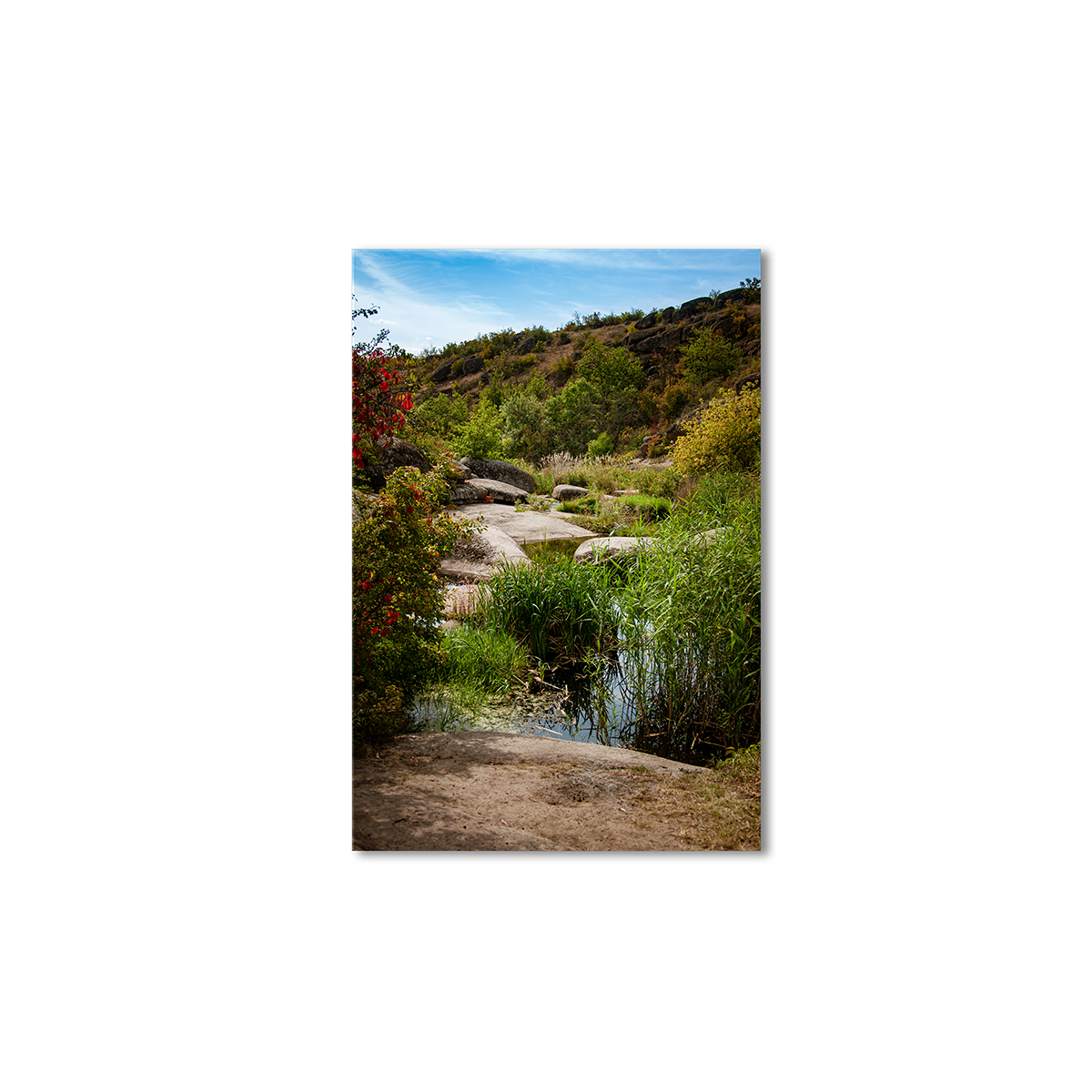 

Модульная картина Artel «Кустарники камни» 105x70 см