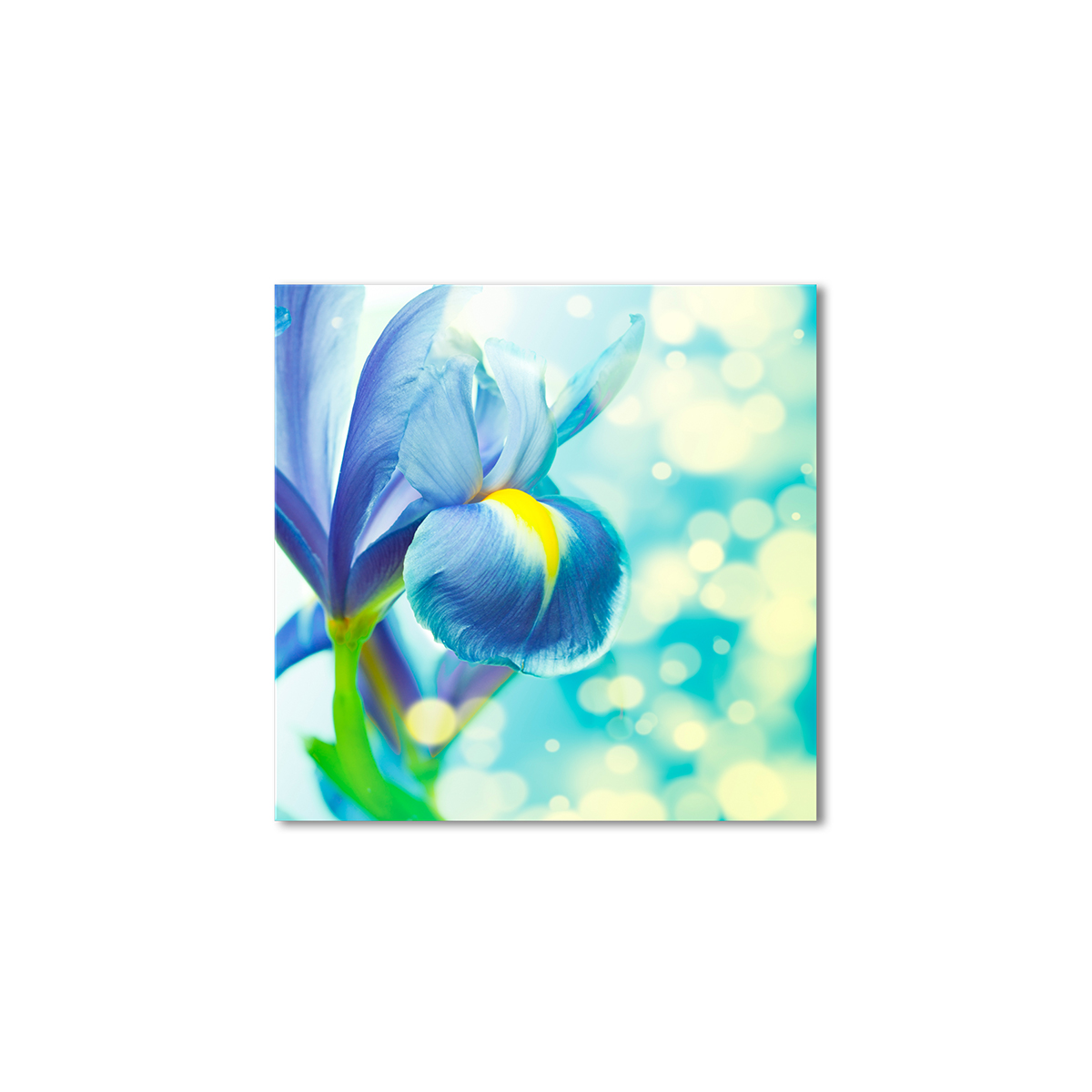 

Модульная картина Artel «Голубой ирис» 60x60 см