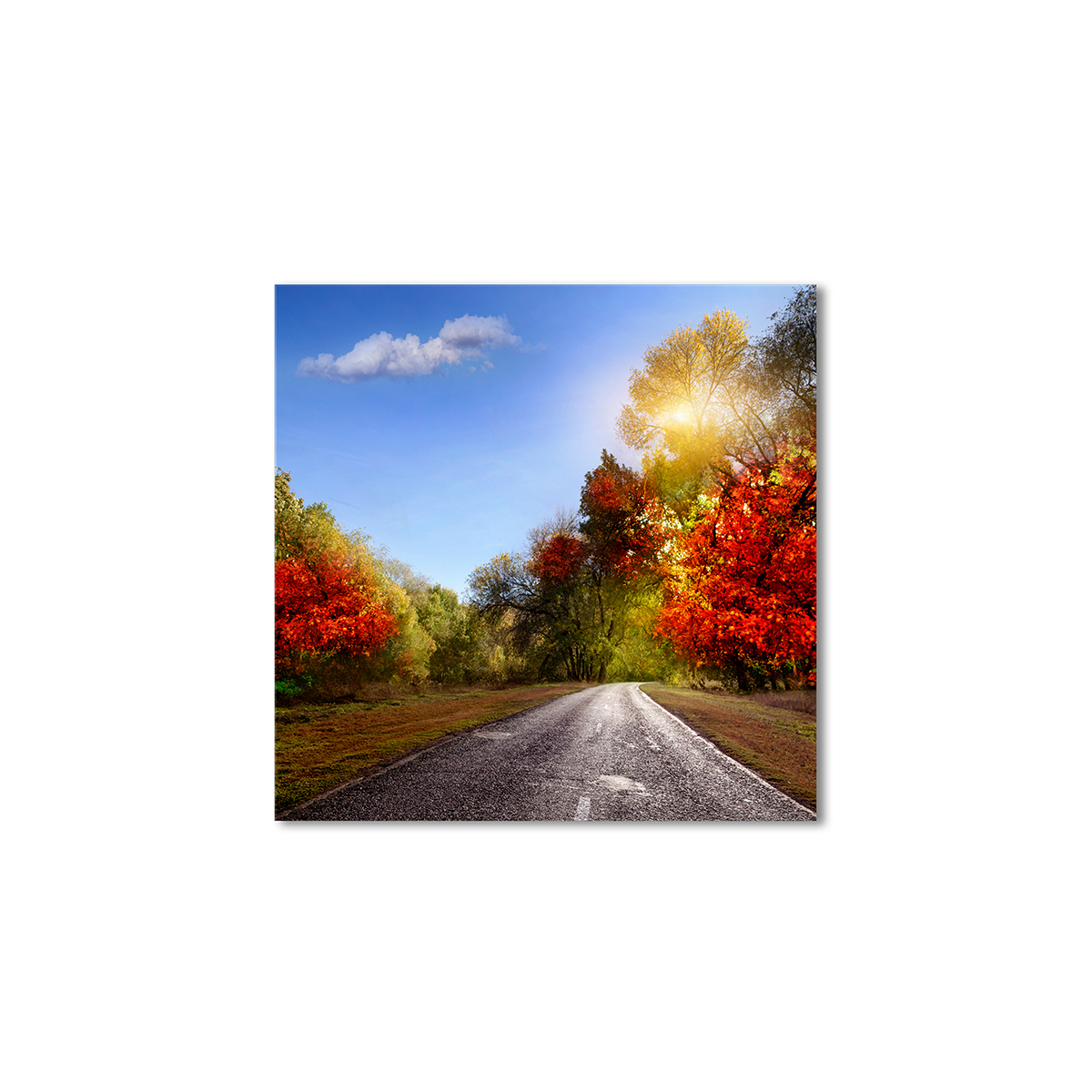 

Модульная картина Artel «Дорога осенние деревья» 120x120 см