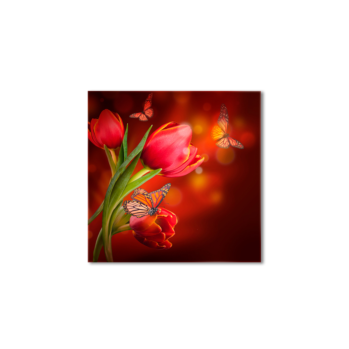 

Модульная картина Artel «Бабочки на тюльпанах» 120x120 см