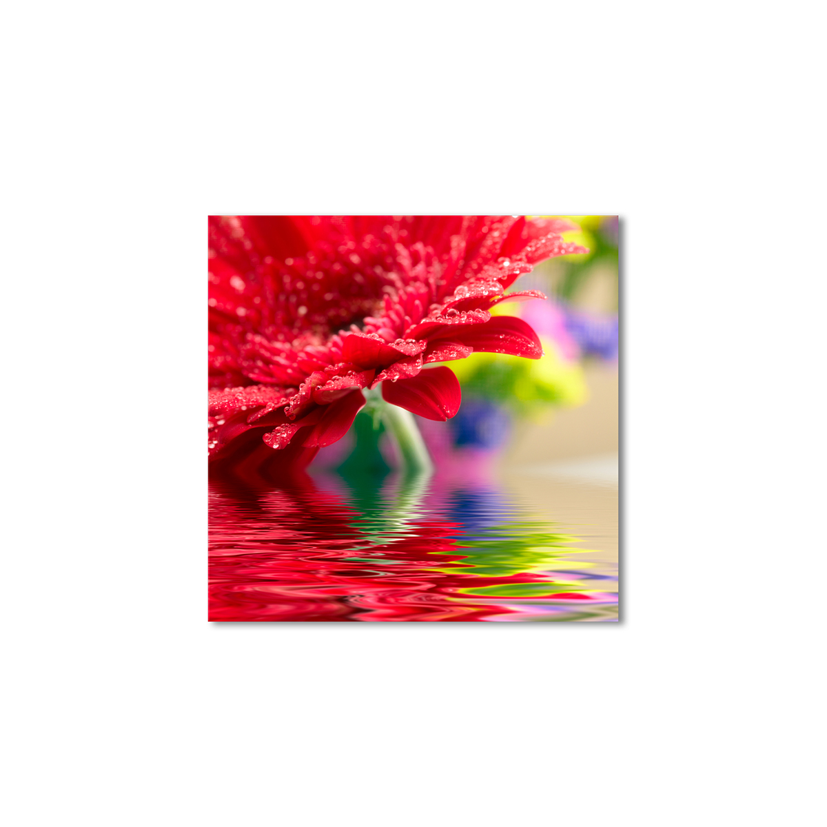 

Модульная картина Artel «Красная гербера в воде» 120x120 см
