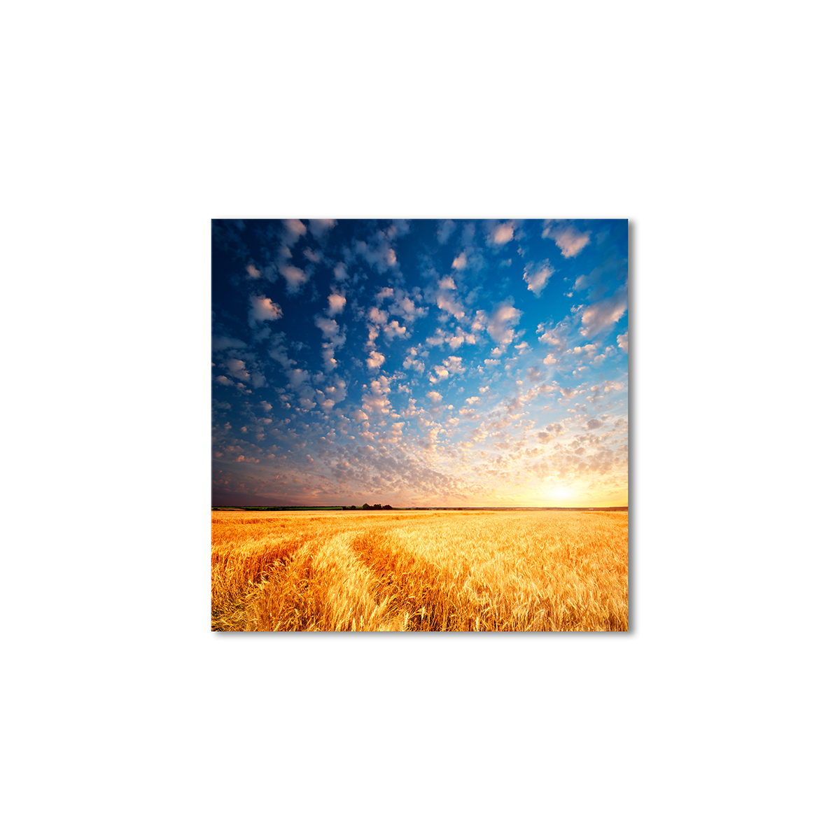 

Модульная картина Artel «Облачное небо желтое поле» 120x120 см
