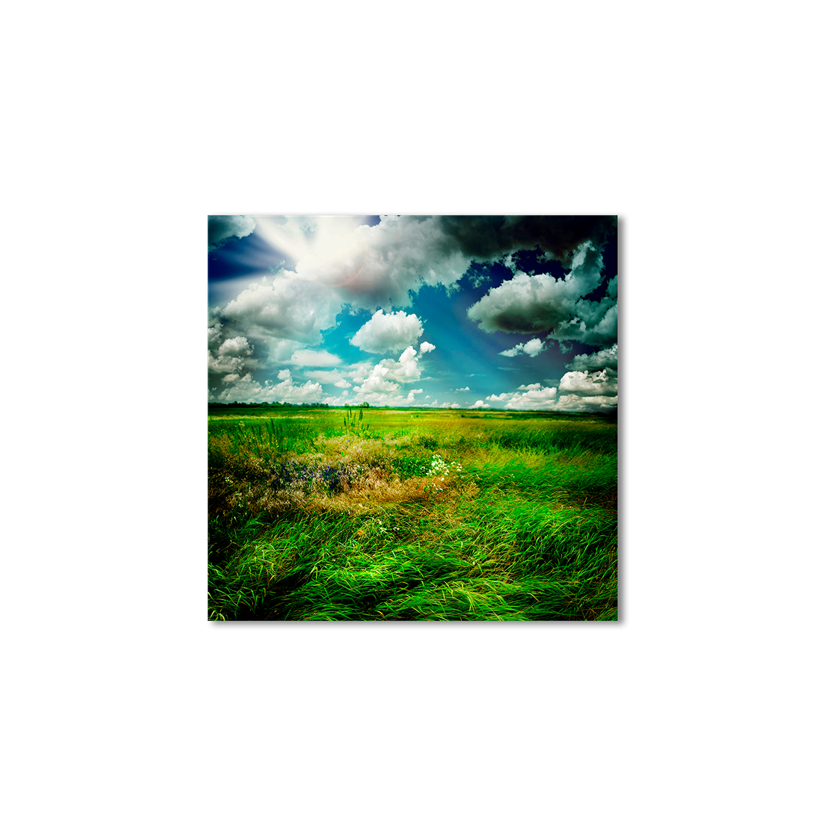 

Модульная картина Artel «Красивый сельский пейзаж» 60x60 см