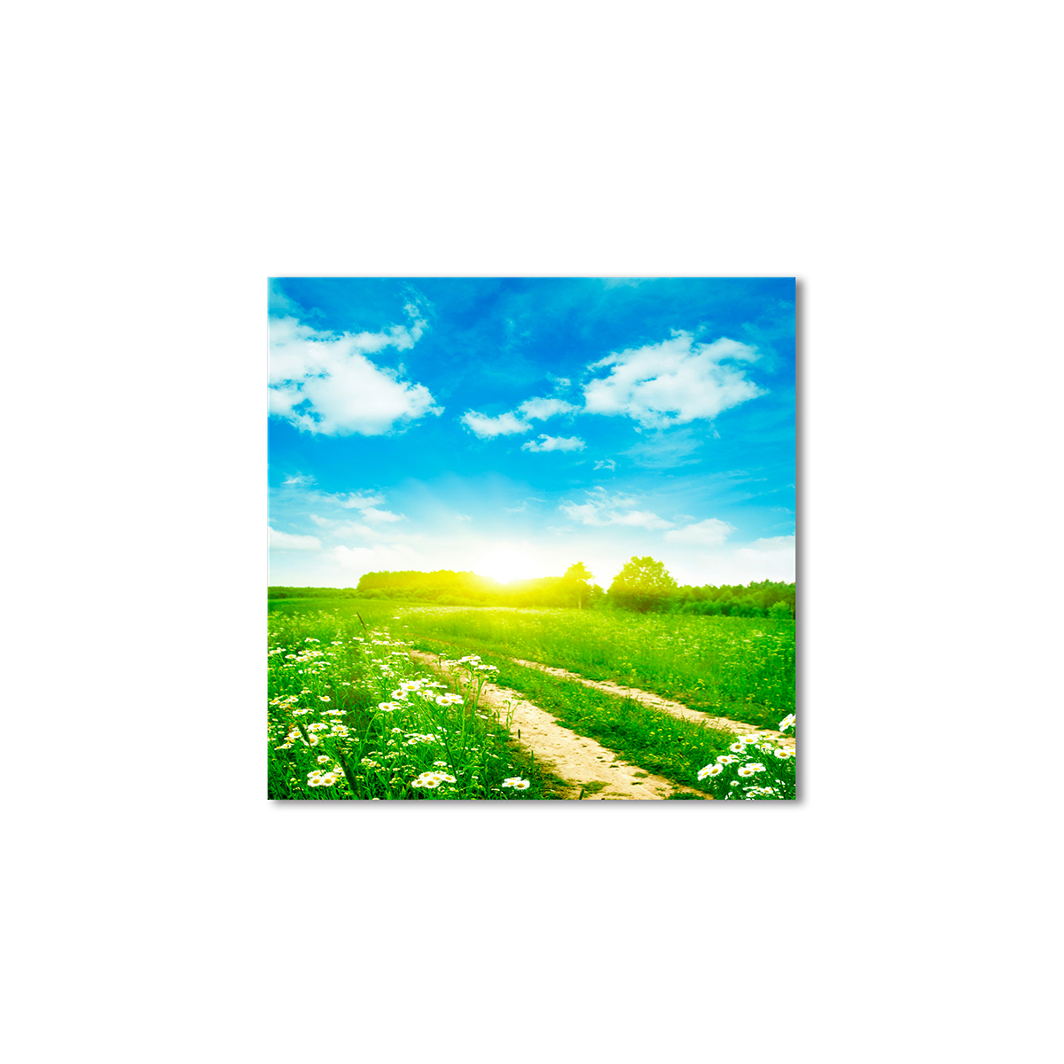 

Модульная картина Artel «Ранее летнее утро» 80x80 см