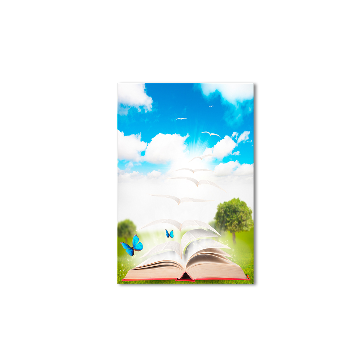 

Модульная картина Artel «Книга полета» 120x80 см