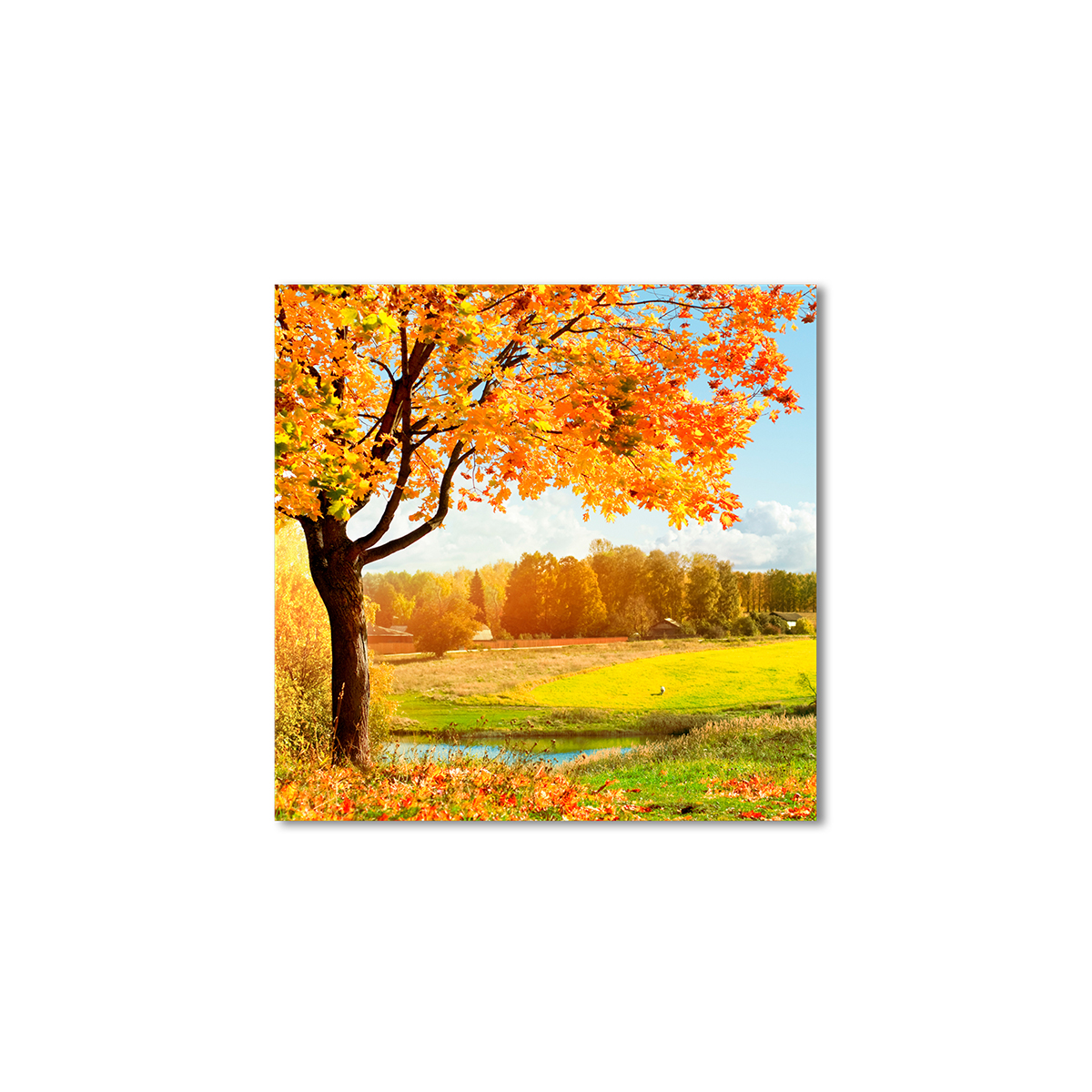 

Модульная картина Artel «Осеннее село» 80x80 см