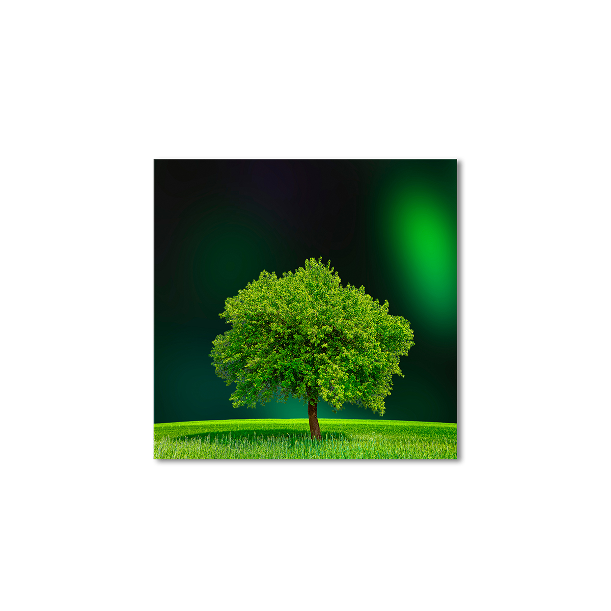 

Модульная картина Artel «Зеленое дерево в поле» 120x120 см