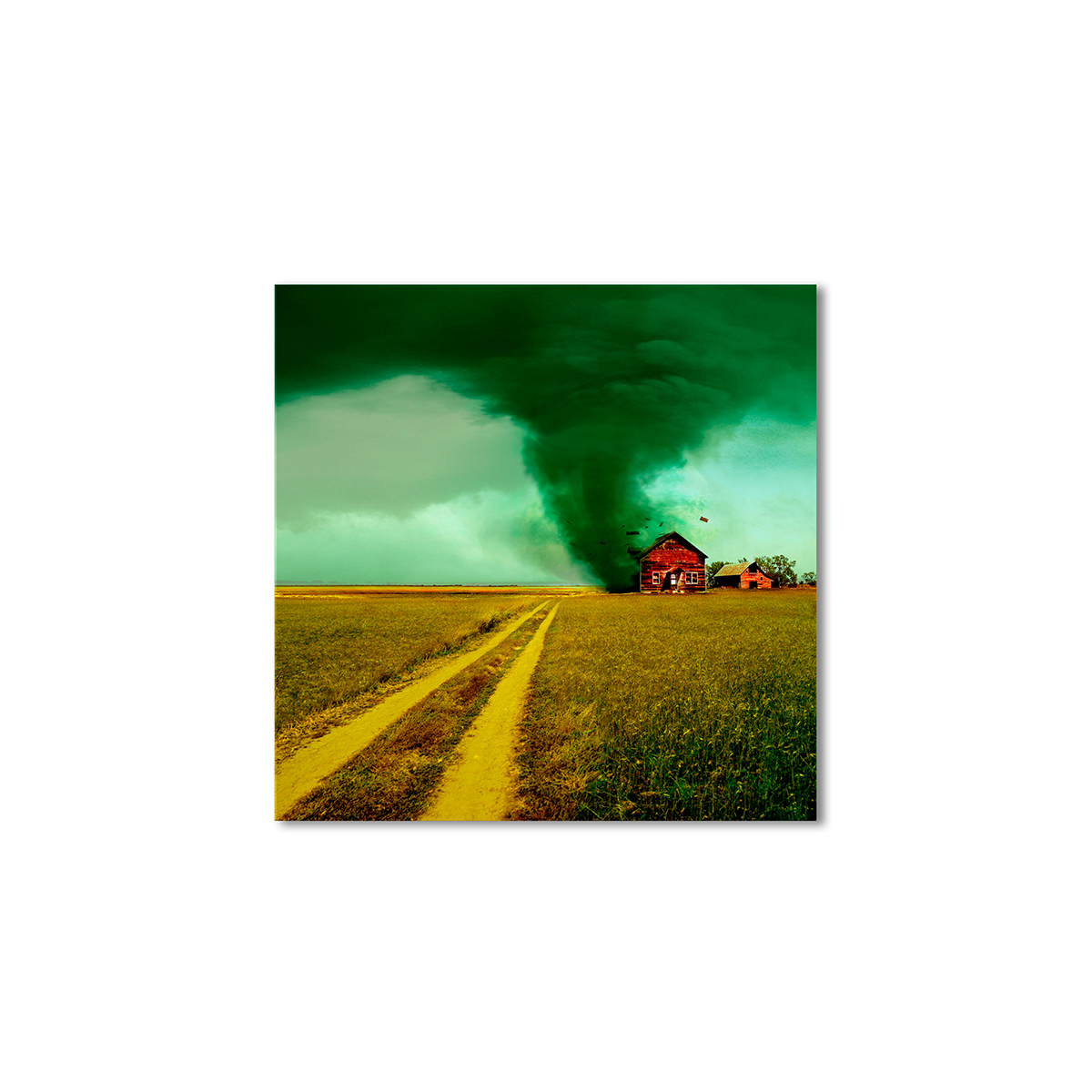 

Модульная картина Artel «Торнадо домики» 120x120 см
