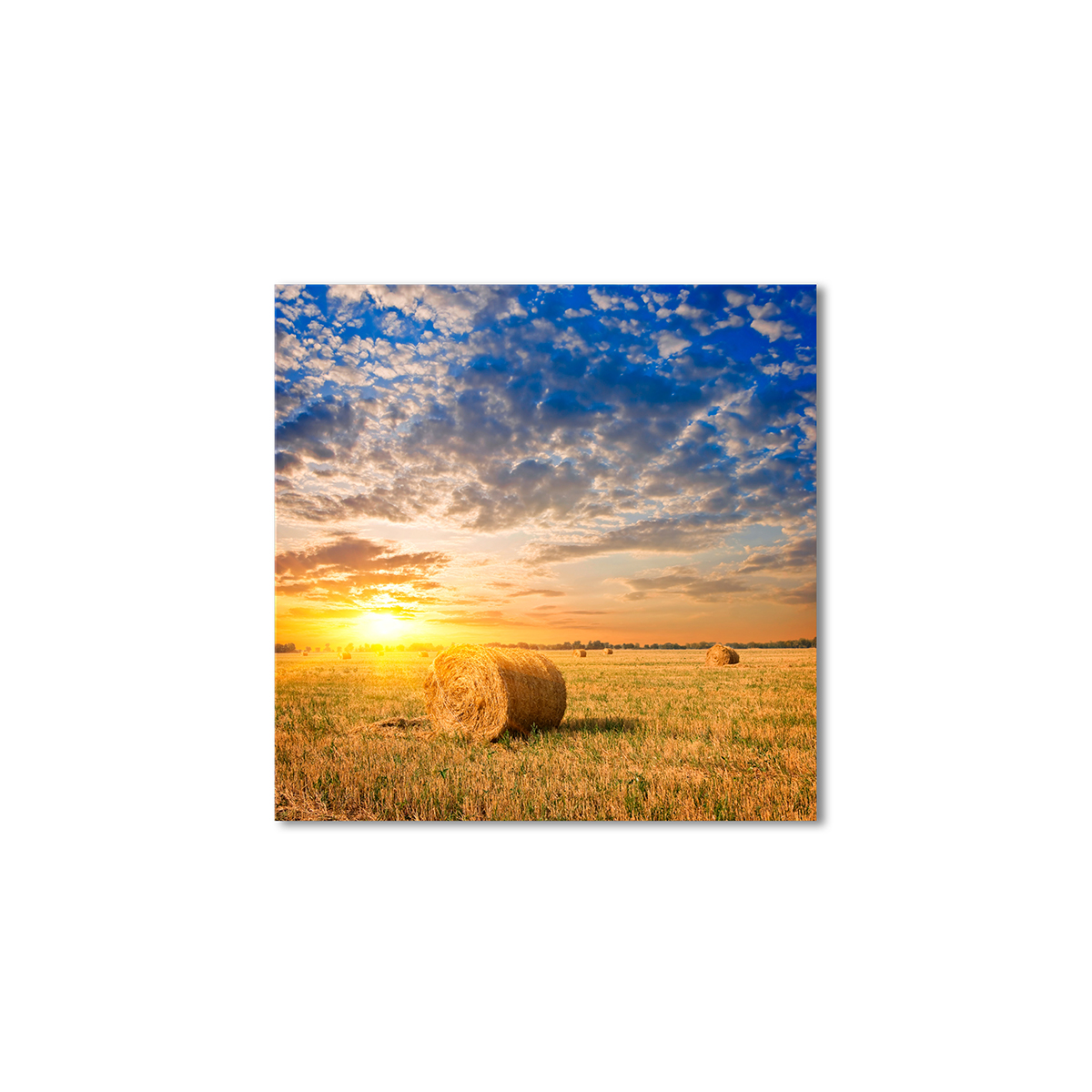 

Модульная картина Artel «Стоги сена в поле» 80x80 см