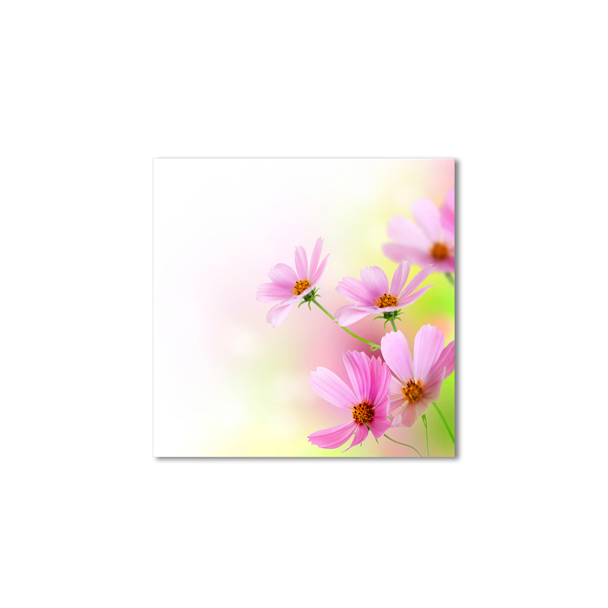 

Модульная картина Artel «Космея сиреневая» 80x80 см